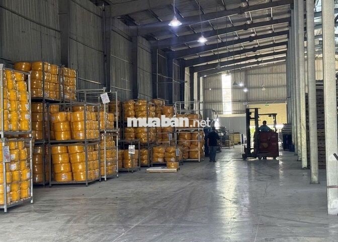 [Củ Chi] Tuyển Nhân Viên Thủ Kho – Lương 10–15Tr/T