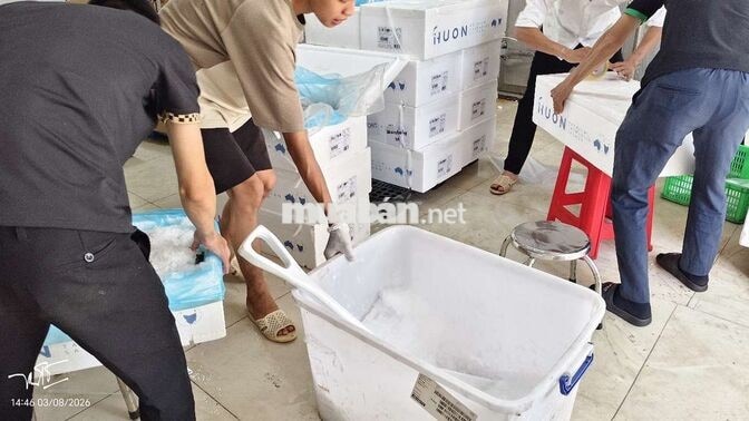 Tuyển Giao hàng xe máy điện làm việc tại Hiệp Bình