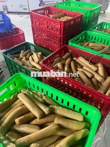 Tuyển 2 Nam 2 Nữ Làm Giò Chả