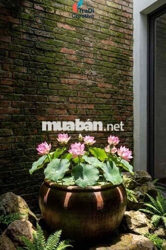 Khai trương Quán Cf cần tuyển QUẢN LÝ, CA TRƯỞNG