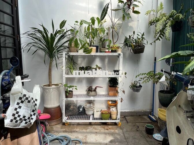 Tuyển người phụ việc tiệm chim cảnh