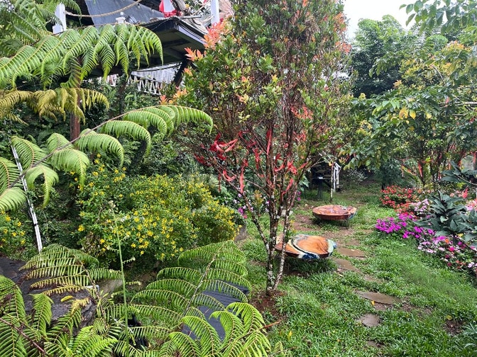 Tuyển quản lý quán cà phê sân vườn