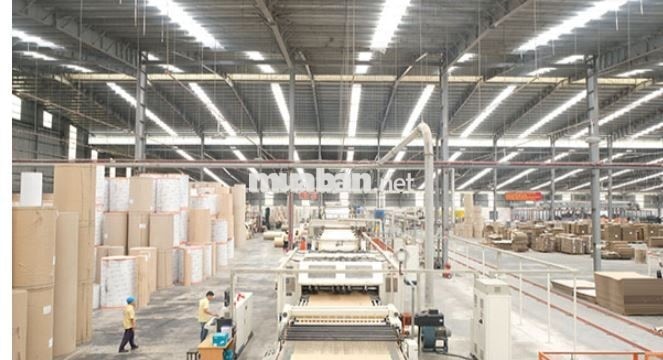 TUYỂN LAO ĐỘNG PHỔ THÔNG - CHÍNH THỨC VÀ THỜI VỤ