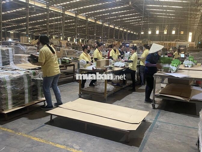 TUYỂN LAO ĐỘNG PHỔ THÔNG - CHÍNH THỨC VÀ THỜI VỤ