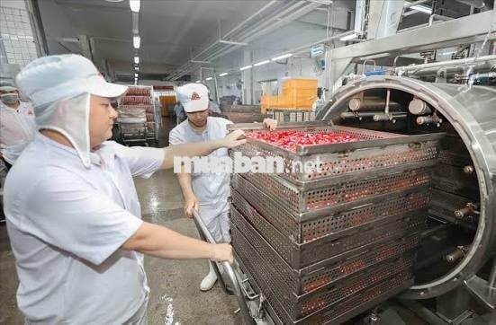 TUYỂN DỤNG LĐPT LÀM VIỆC TẠI CÔNG TY VISSAN