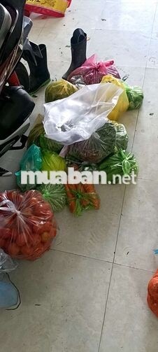 tuyển phụ việc nhà có tâm nhanh nhẹn 420k/sáng