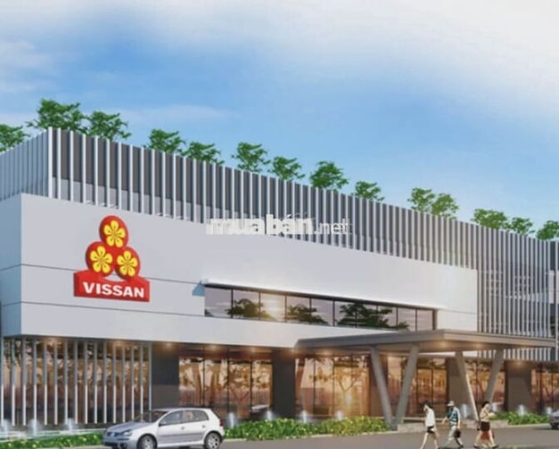 [VISSAN] ỔN ĐỊNH - LƯƠ.NG CAO - BAO CƠM 