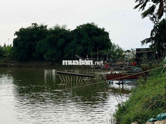 Tuyển công nhân nuôi cá tra tại P. Tân Lộc, Cần Th