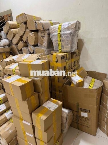Tuyển nhân viên đóng hàng