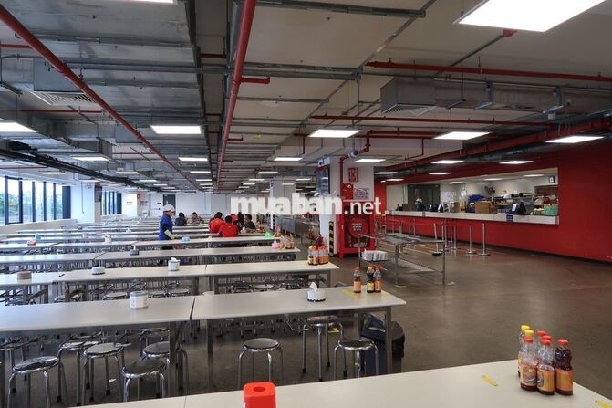 TTI SHTP TUYỂN CÔNG NHÂN CHÍNH THỨC LƯƠNG 13TR