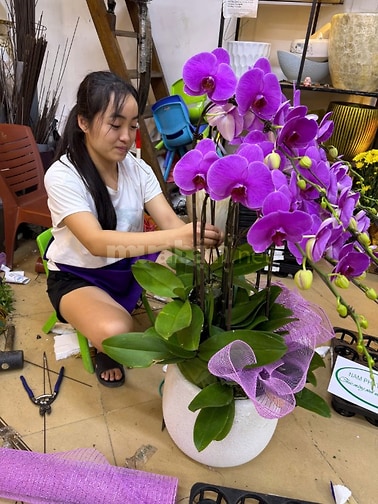 NV Bán hàng Thời Vụ 20-10 shop Hoa lan Cây cảnh