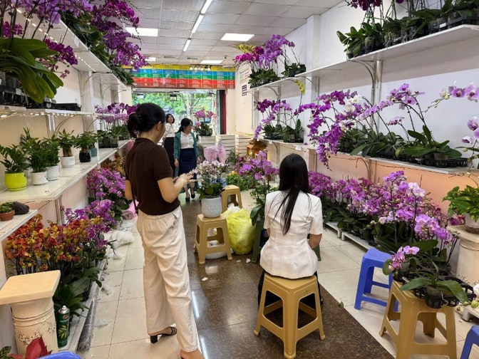 NV Bán hàng Thời Vụ 20-10 shop Hoa lan Cây cảnh