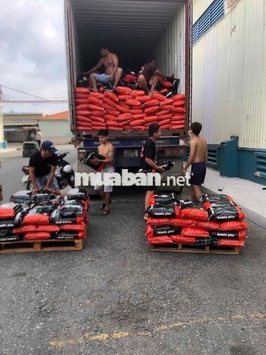 TUYỂN NAM BỐC XẾP HÀNG HOÁ TẠI KHO