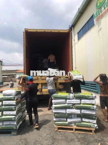 TUYỂN NAM BỐC XẾP HÀNG HOÁ TẠI KHO