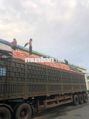 TUYỂN NAM BỐC XẾP HÀNG HOÁ