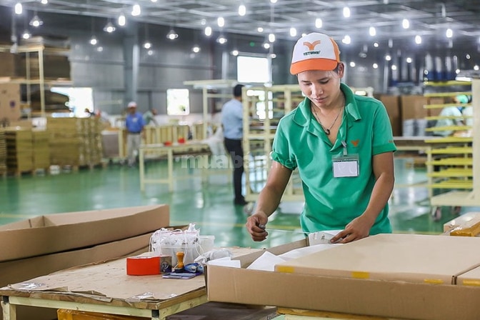 TUYỂN NV ĐÓNG GÓI DÁN MÃ SP, BÁN HÀNG TẠI QUẨY, Q6,BÌNH TÂN,TÂN PHÚ