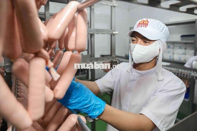 Tuyển 150 LĐPT Làm Tại Nhà Máy Vissan - Lương Tuần