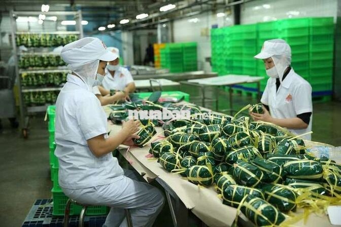 Tuyển 150 LĐPT Làm Tại Nhà Máy Vissan - Lương Tuần