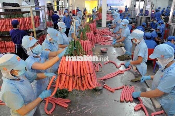 Tuyển 150 LĐPT Làm Tại Nhà Máy Vissan - Lương Tuần