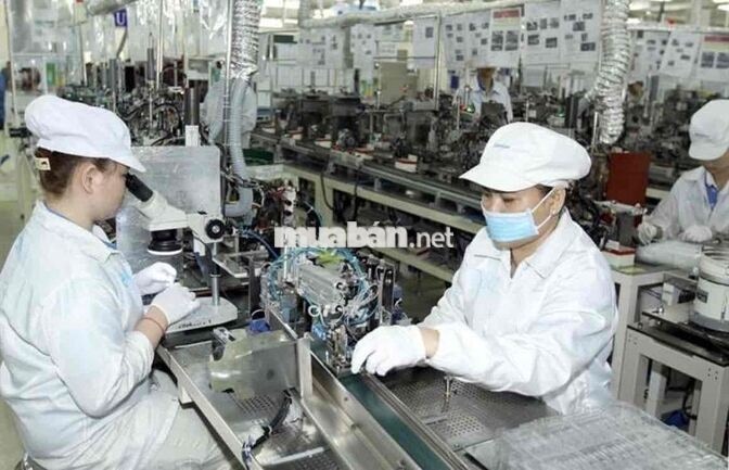 TUYỂN NHÂN VIÊN LẮP RÁP LINH KIỆN ĐIỆN TỬ