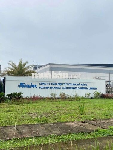 THỜI VỤ VÀ CHÍNH THỨC NHÀ MÁY FOXLINK