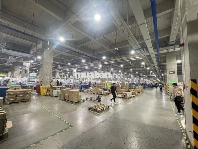 CÔNG TY TTI KCN TÂN PHÚ TRUNG CỦ CHI CẦN TUYỂN 500