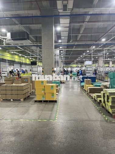 CÔNG TY TTI KCN TÂN PHÚ TRUNG CỦ CHI CẦN TUYỂN 500