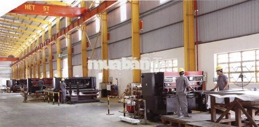 Tuyển công nhân phụ máy thu nhập 11-13tr/tháng