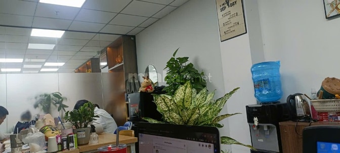 Tuyển Gấp Nhân Sự - TTS TP.HCM