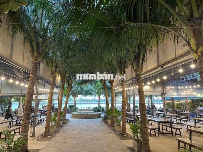 Tuyển Nữ Phục Vụ Quận 12