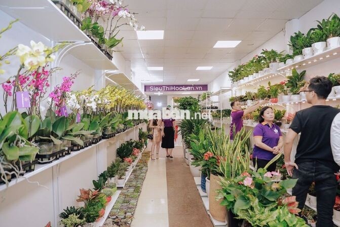 [LÀM NGAY] NV BÁN HÀNG ca tối shop Cây cảnh 40k