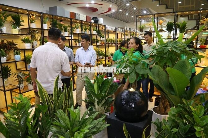 [LÀM NGAY] NV BÁN HÀNG ca tối shop Cây cảnh 40k