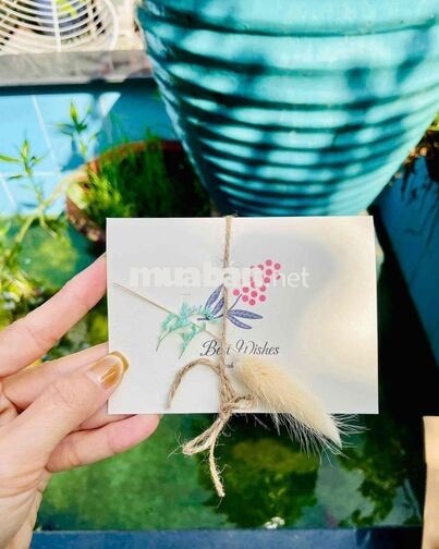 Tuyển nhân Viên bán hàng