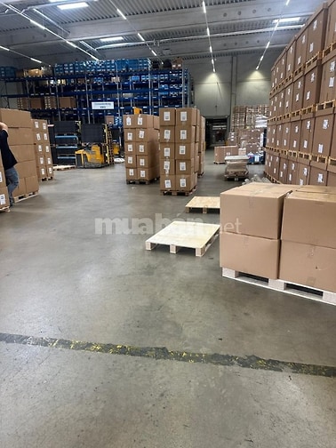 Cần tuyển 3 n/v kho, làm việc tai q. Tân Bình, p4, đ. Hoàng v Thụ.