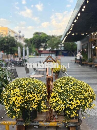 Tuyển dụng nhân viên quán Cà phê