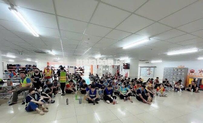 THUẬN ĐẠO - 100 NHÂN VIÊN KHO LƯƠNG TÍNH THEO NGÀY