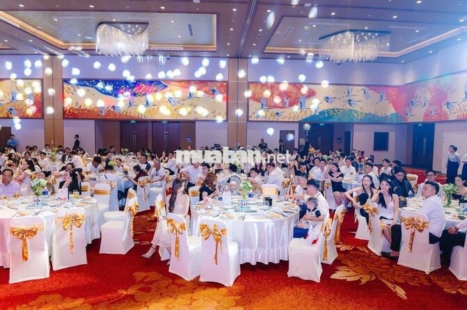 NHÂN VIÊN HÀNH CHÍNH NHÂN SỰ 