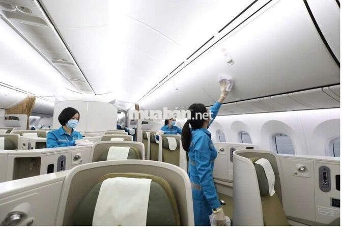TUYỂN NAM/NỮ VỆ SINH TÀU BAY LƯƠNG 365K/CA
