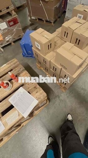 THÔNG BÁO TUYỂN DỤNG LAO ĐỘNG PHỔ THÔNG THỜI VỤ