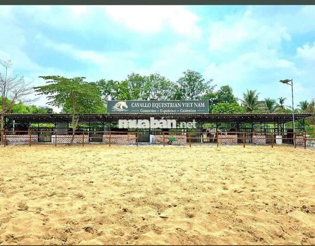 TUYỂN HUẤN LUYỆN VIÊN CƯỠI NGỰA KHÔNG KINH NGHIỆM
