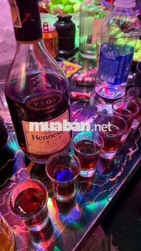TUYỂN NHÂN VIÊN BAR & LOUNGE