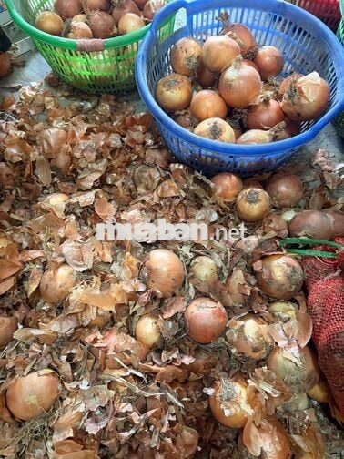 lựa củ hàng lấy tiền liền lh ***