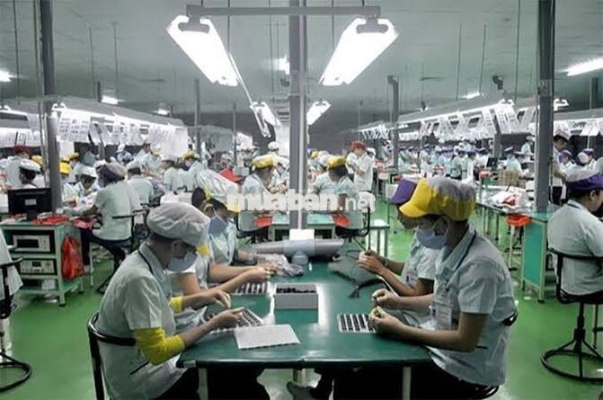 TUYỂN CÔNG NHÂN THU NHẬP CAO - CÓ LƯƠNG TUẦN/CHỖ Ở