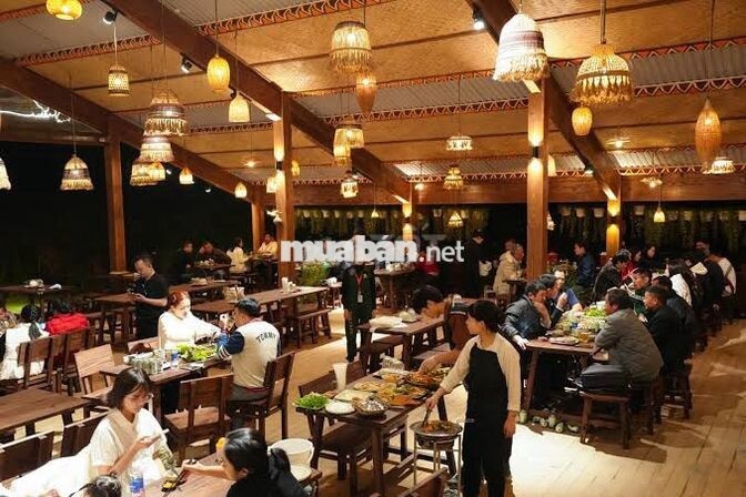 Tuyển nhân viên Phục vụ