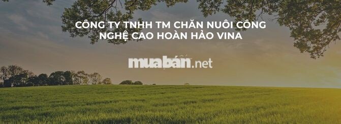 [ BAO ĂN Ở] TUYỂN DỤNG BẢO VỆ TRANG TRẠI GÀ