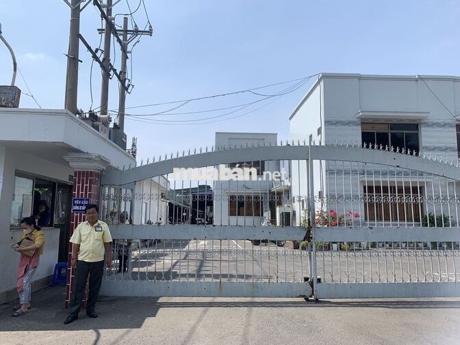 TUYỂN LĐPT LÀM THỜI VỤ