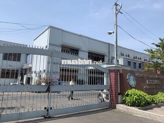 TUYỂN LĐPT LÀM THỜI VỤ