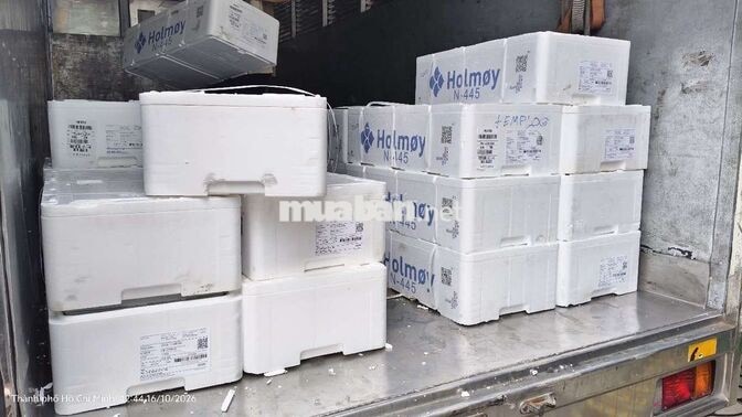 Tuyển 02 NV kho thực phẩm đông lạnh, P. Hiệp Bình