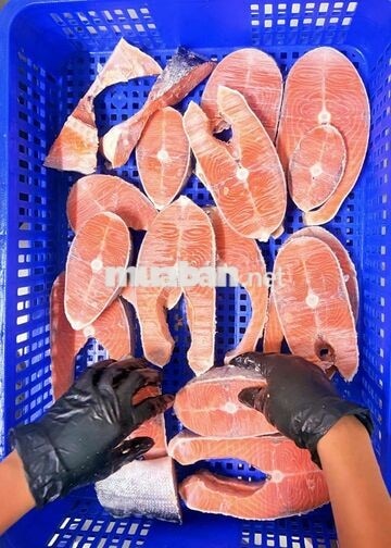 Tuyển 02 NV kho thực phẩm đông lạnh, P. Hiệp Bình