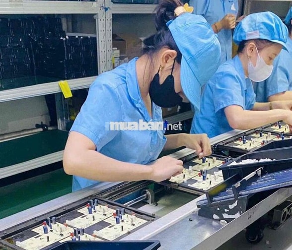 TUYỂN DỤNG THÁNG 10 khu công nghệ cao Thủ Đức